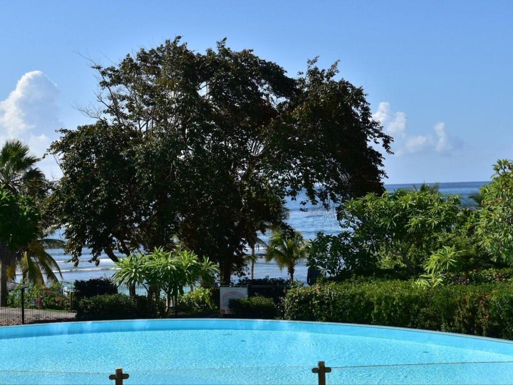 Studio Village Vacances,Vue Mer, Plage A 30M ,Wifi A Sainte Anne Екстер'єр фото