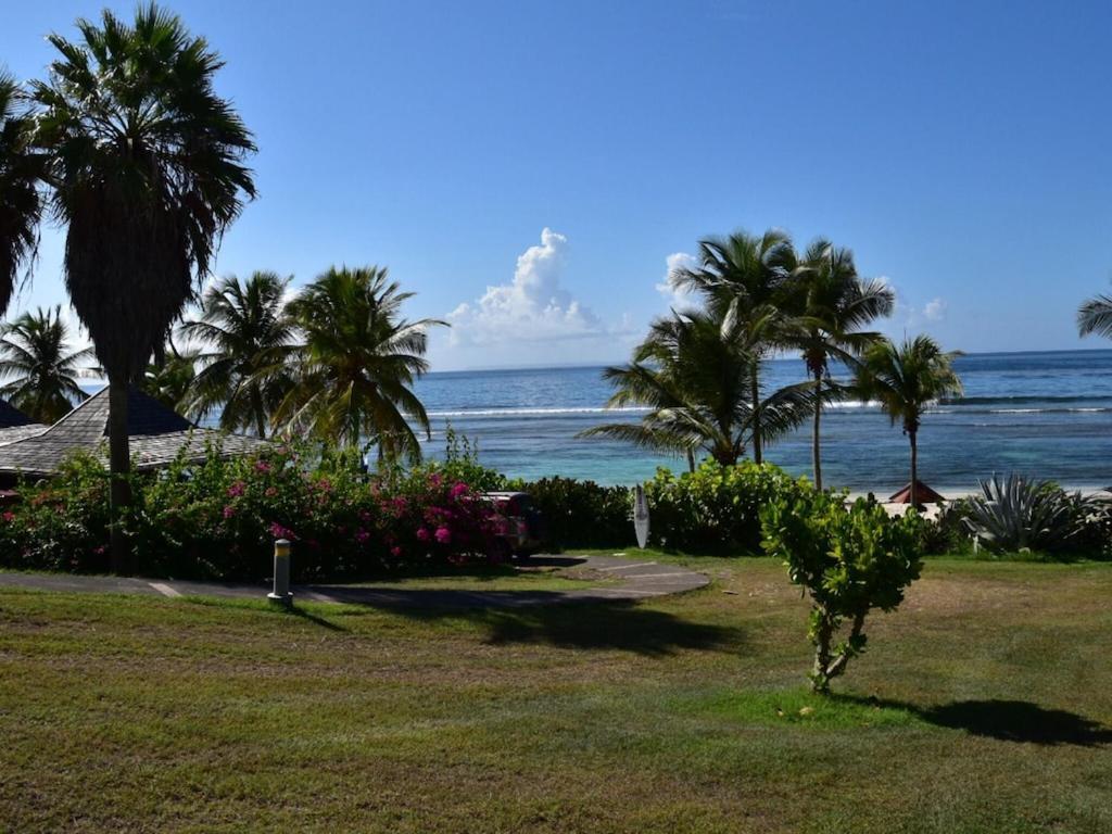 Studio Village Vacances,Vue Mer, Plage A 30M ,Wifi A Sainte Anne Екстер'єр фото