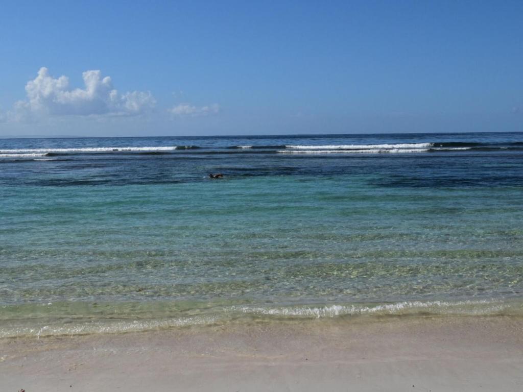 Studio Village Vacances,Vue Mer, Plage A 30M ,Wifi A Sainte Anne Екстер'єр фото