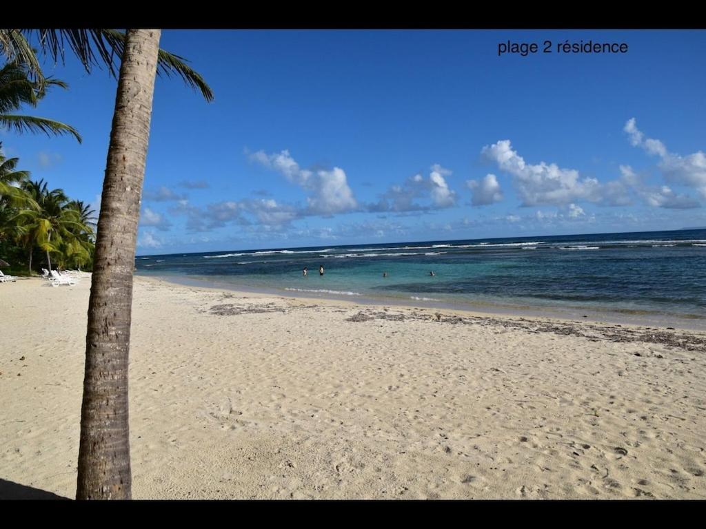 Studio Village Vacances,Vue Mer, Plage A 30M ,Wifi A Sainte Anne Екстер'єр фото