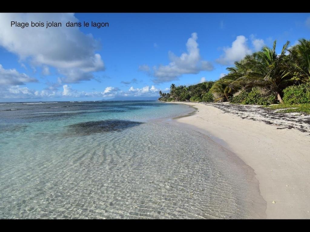 Studio Village Vacances,Vue Mer, Plage A 30M ,Wifi A Sainte Anne Екстер'єр фото