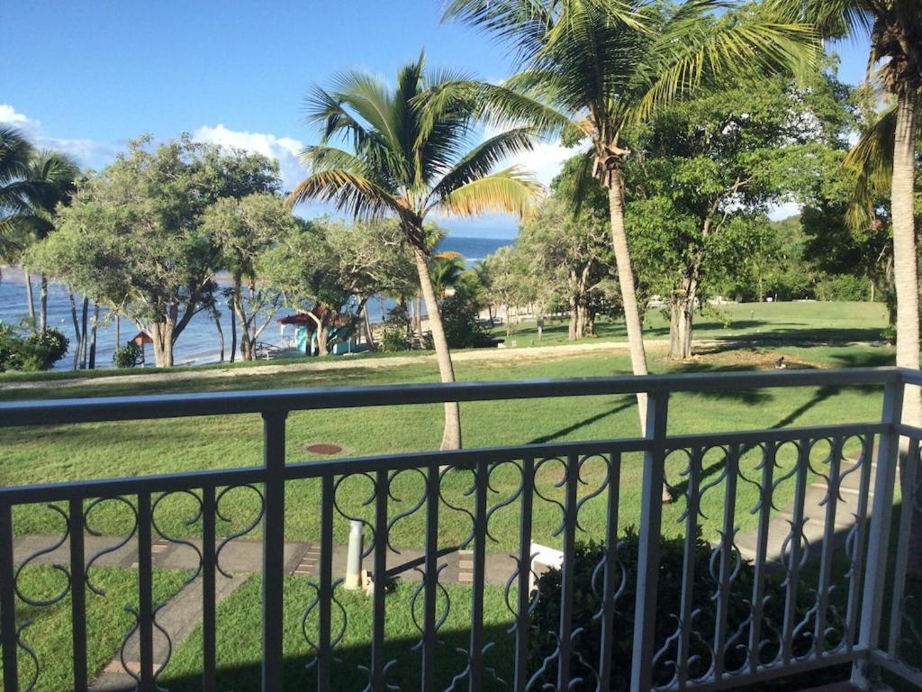 Studio Village Vacances,Vue Mer, Plage A 30M ,Wifi A Sainte Anne Екстер'єр фото
